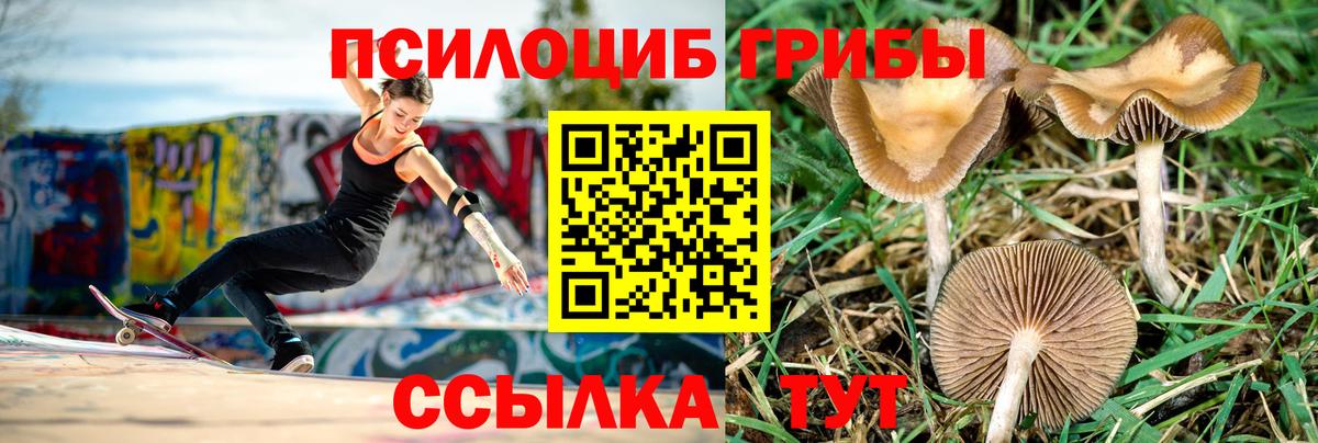Галлюциногенные грибы мухоморы  Псилоцибиновые грибы Psilocybine cubensis  Полысаево  Вход с VPN 