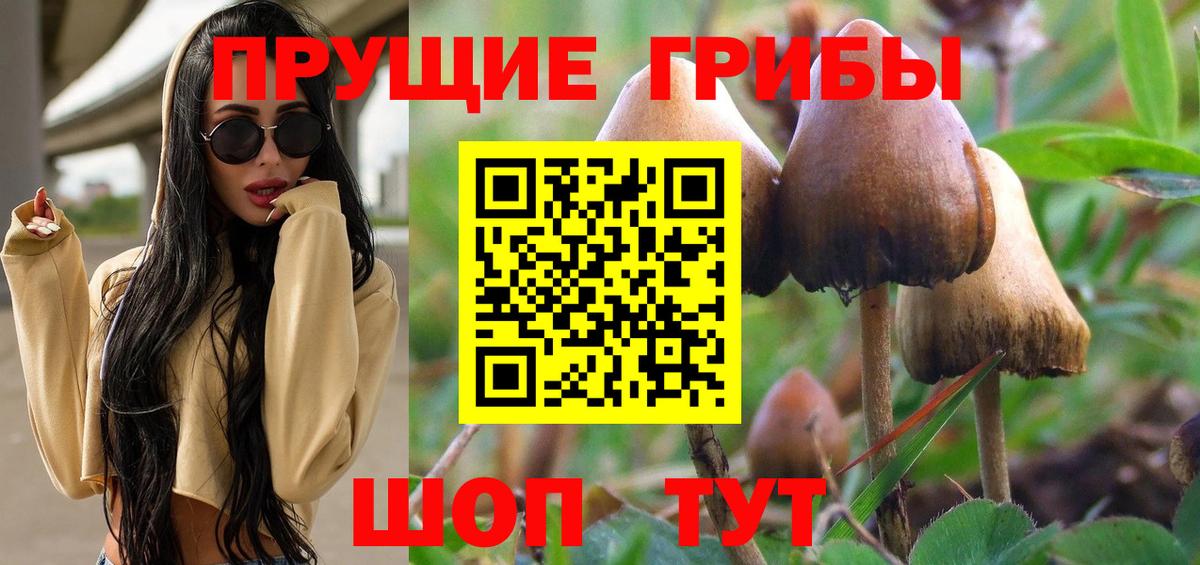 Псилоцибиновые грибы мухоморы Полысаево